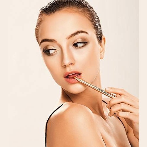 L.Y.L Pro Gold Double-Sided Retractable Lip Makeup Brush for Lipstick and Gloss - Perfect Christmas Gift
