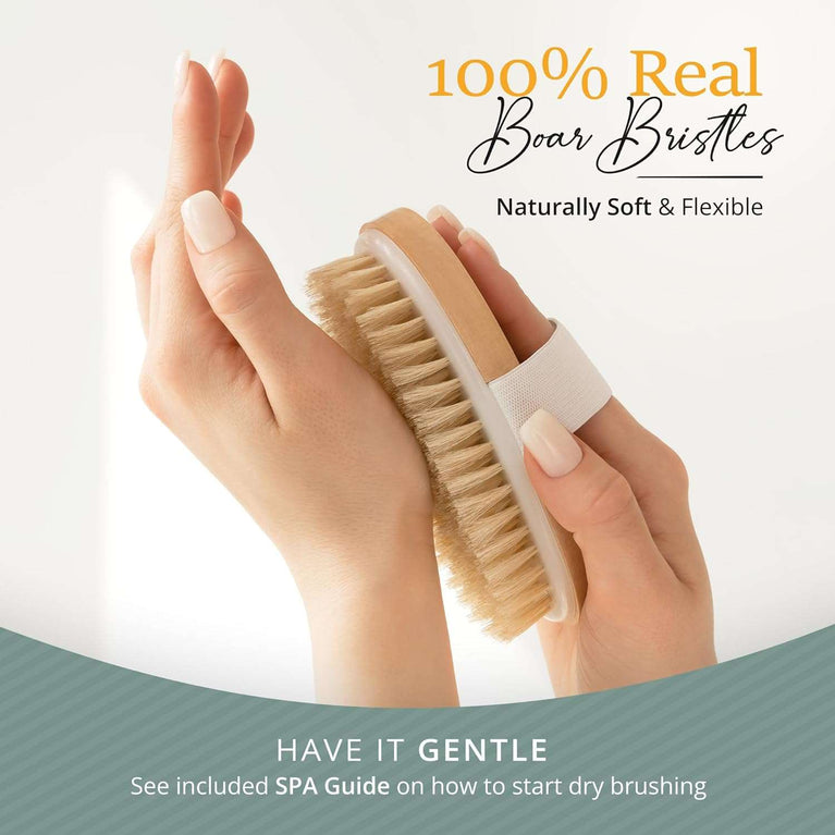 Belula Premium Dry Brushing Body Brush Set- Natural Boar Bristle Body Brush, Exfoliating Face Brush & One Pair Bath & Shower Gloves. Free Bag & How to – Great Gift for A Glowing Skin & Healthy Body