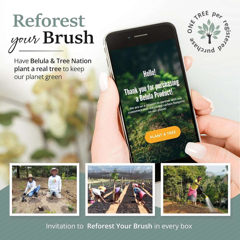 Belula Premium Dry Brushing Body Brush Set- Natural Boar Bristle Body Brush, Exfoliating Face Brush & One Pair Bath & Shower Gloves. Free Bag & How to – Great Gift for A Glowing Skin & Healthy Body