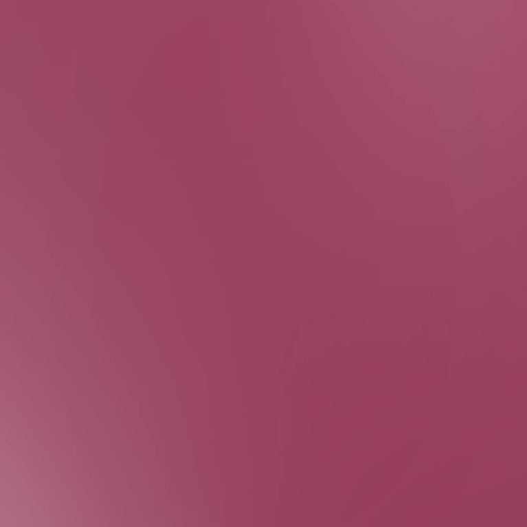 Stargazer Vegan Lip Stain Pen with 12-Hour Stay, Transfer-Proof, Cruelty-Free Formula, and Reversible Precision Tip