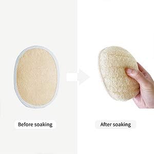 Ithyes Long Handle Shower Brush with Natural Bristles and Loofah Pad