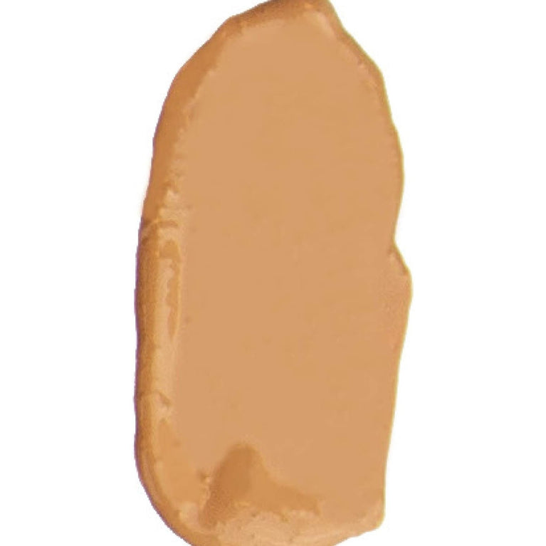 theBalm Cosmetics Radiant Complexion Tinted Moisturizer in Medium Shade #26 - 30ml