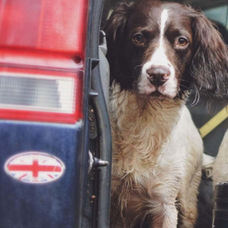 Heavenly Fragrance: Animology Body Mist, 150 ml