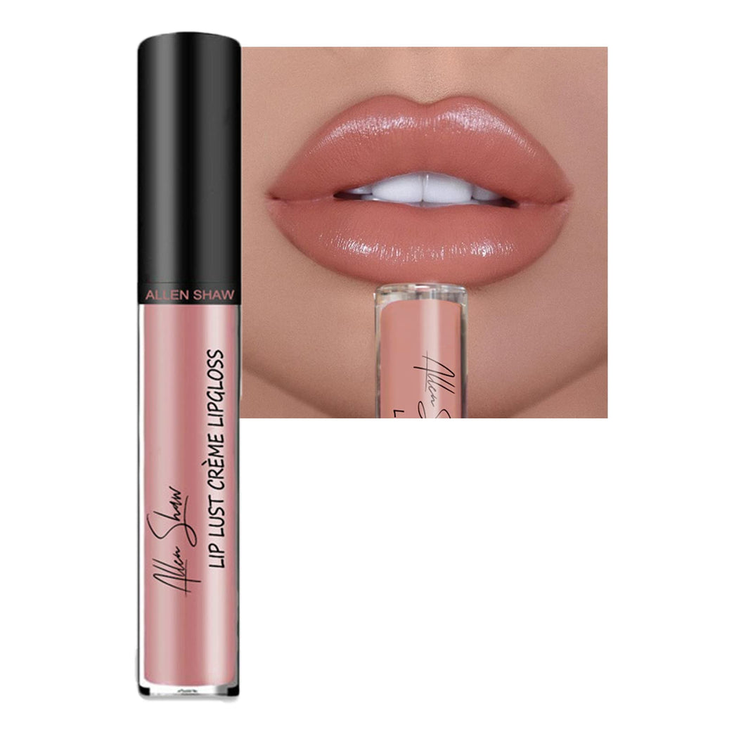 Hypoallergenic Creamy Lip Gloss with Plumping Effect, Long-Lasting Waterproof Velvet Liquid Lipstick in Nude (#02)