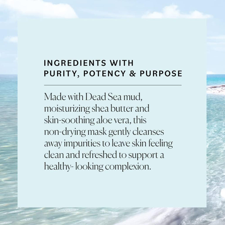 Clear and Radiant Skin with Dead Sea Mud Mask by Sky Organics