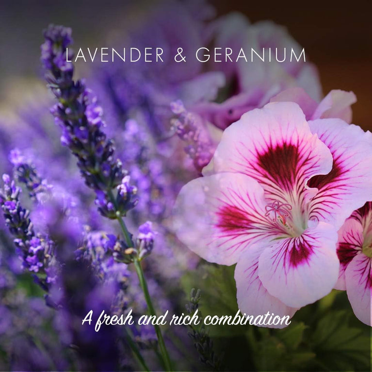 Friendly Soap - Lavender & Geranium Shampoo Bar, Handmade with Coconut & Essential Oils, Vegan, Eco-Friendly, 95g