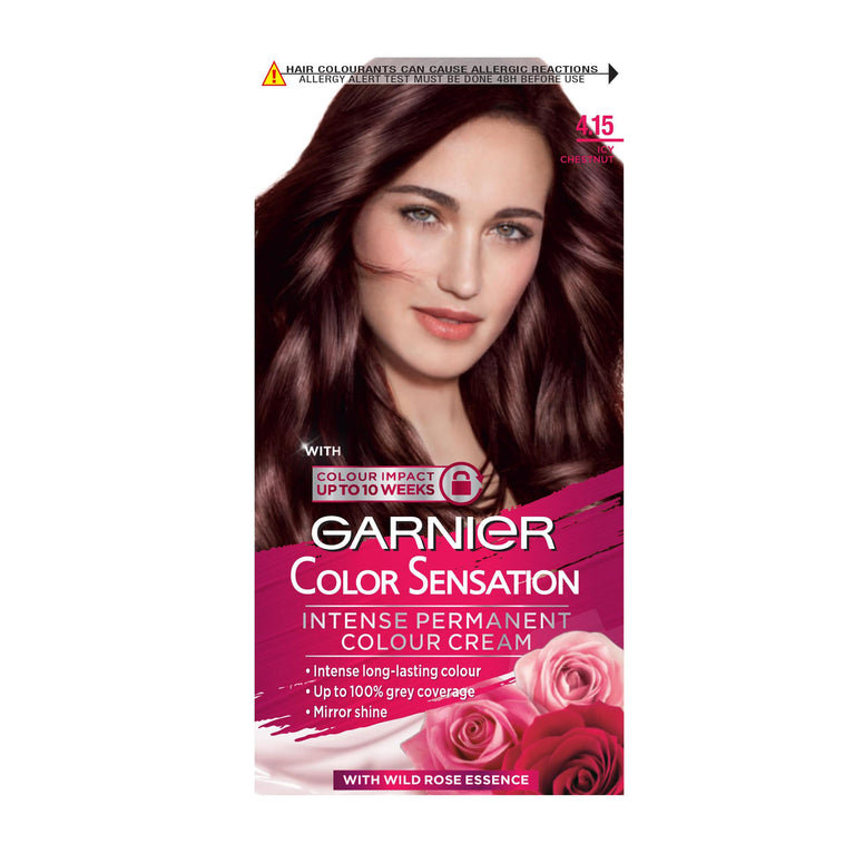 Icy Chestnut Brown Hair Dye - Garnier Color Sensation Permanent 4.15