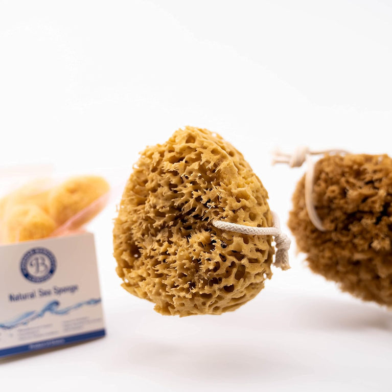Luxurious Jordan Benedict Natural Sea Sponge for Bath and Shower