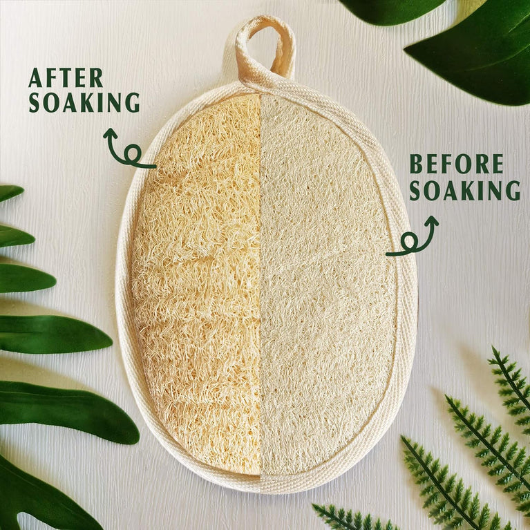 Eco-Friendly Natural Loofah Sponge Exfoliating Body Scrubber (3 Pack)