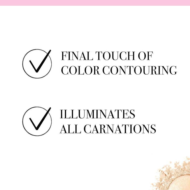 Bourjois LE PETIT STROBER Radiance-Boosting Highlighting Blush for Universal Glow