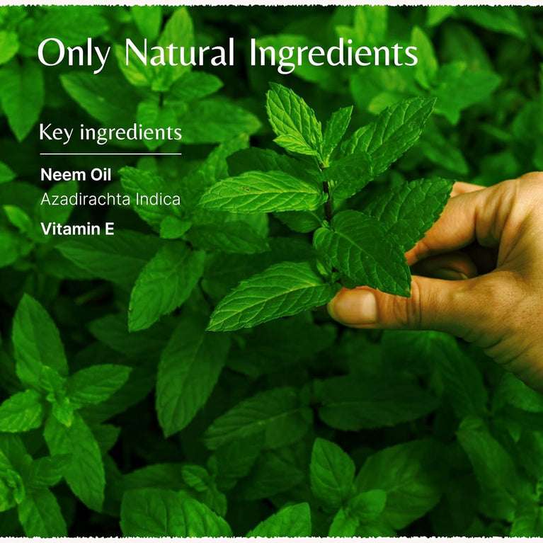 Mistry's Neem Oil - Herbal Body Oil for All Skin Types