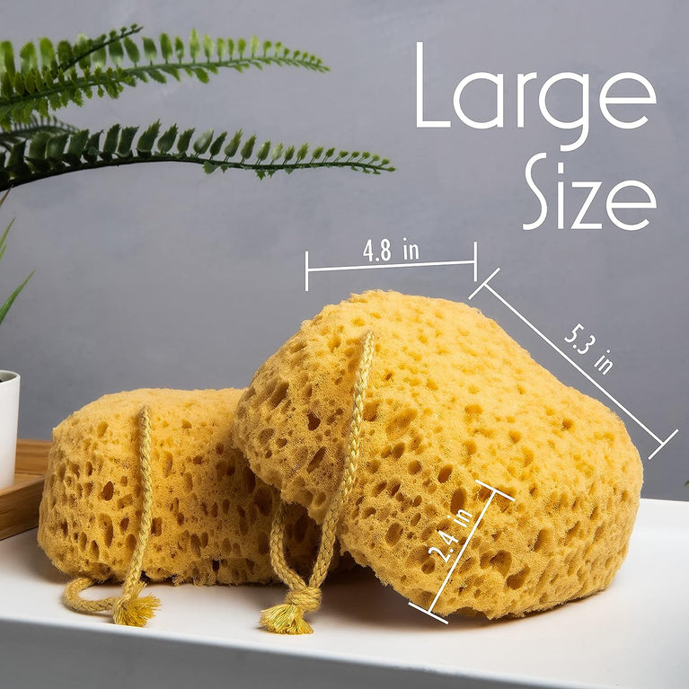 myHomeBody Premium Bath Sponge - Set of 3 Large Foam Loofah Sponges