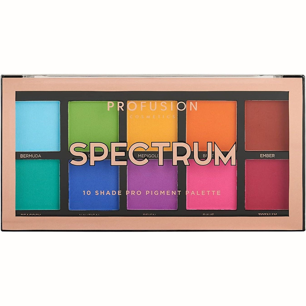 Profusion Cosmetics All-In-One Versatile Matte Eyeshadow Palette with 10 Rich and Blendable Shades