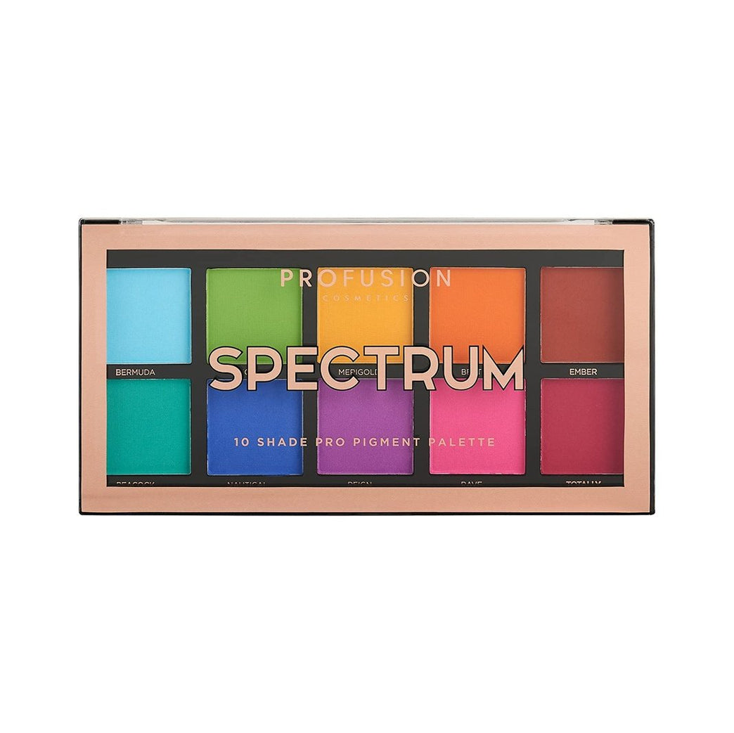 Profusion Cosmetics All-In-One Versatile Matte Eyeshadow Palette with 10 Rich and Blendable Shades